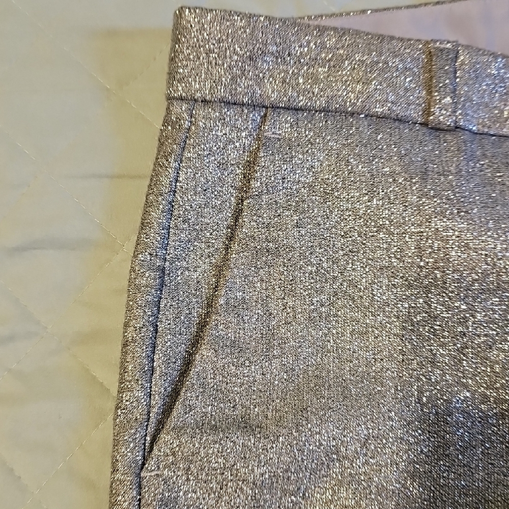 Banana Republic Metallic Silver Pants, Size 8P - Picture 3 of 6